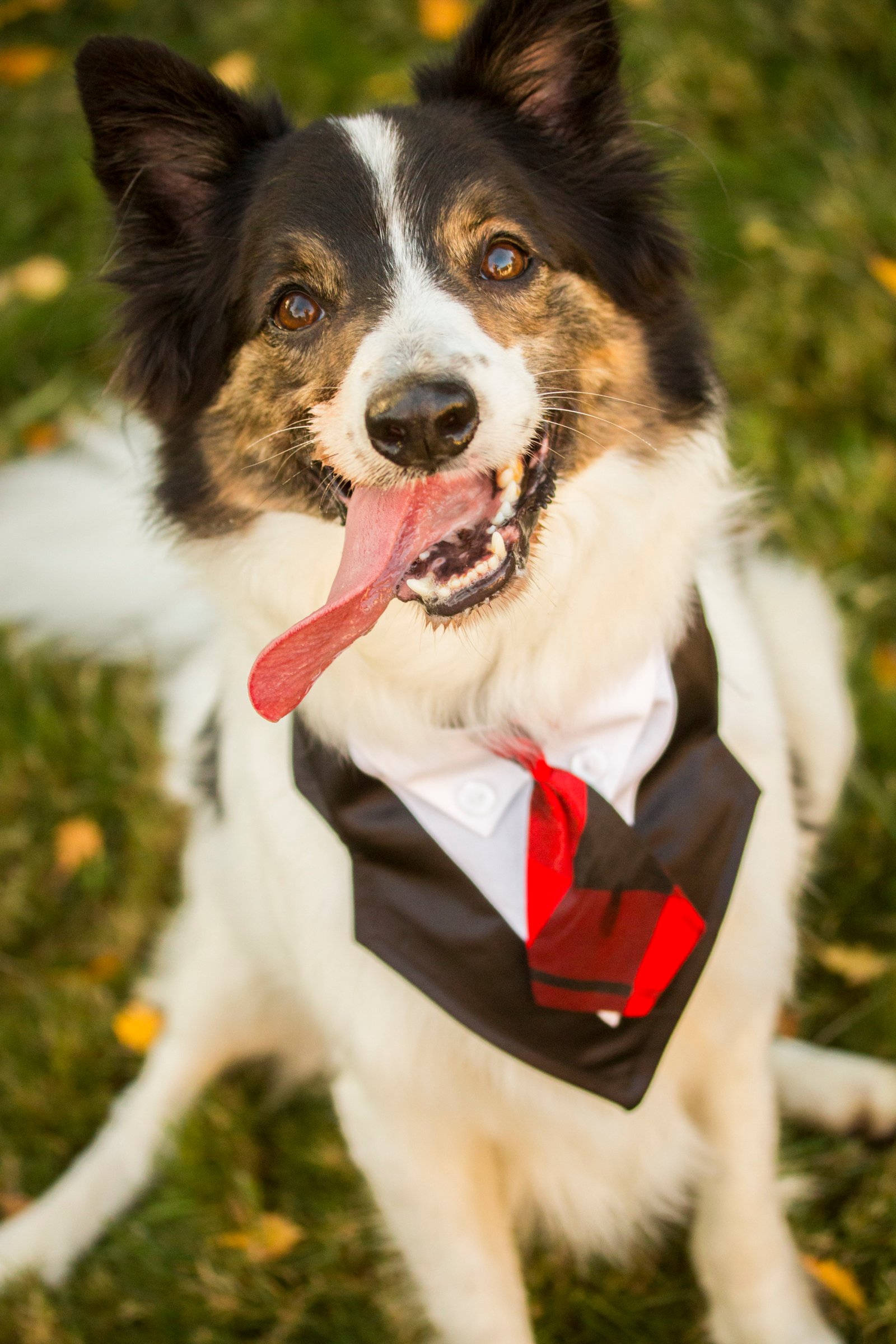 Assorted Beau Photos